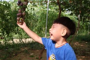 宝妈娱乐圈吃瓜